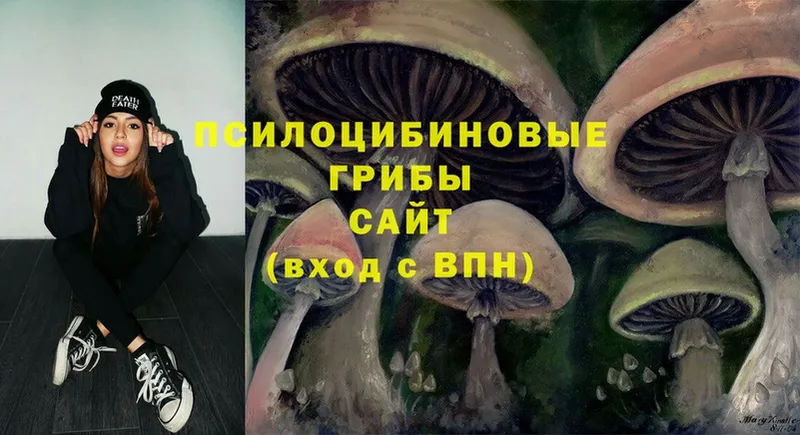 mega ТОР  Ангарск  Галлюциногенные грибы Magic Shrooms 